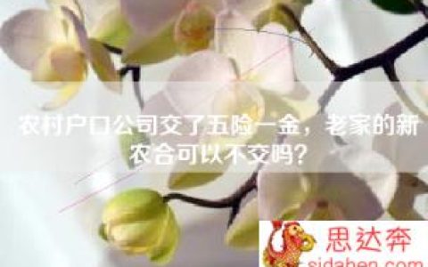 农村户口公司交了五险一金，老家的新农合可以不交吗？