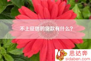 不上征信的贷款有什么？