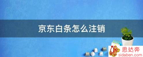 京东白条怎么注销