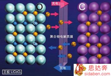 新手机第一次应该如何充电？