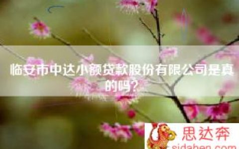 临安市中达小额贷款股份有限公司是真的吗？