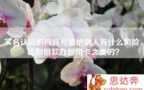 实名认证的抖音号借给别人有什么风险，比如借款办信用卡之类的？