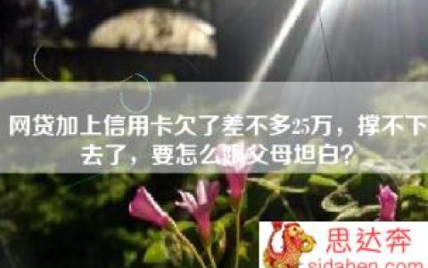 网贷加上信用卡欠了差不多25万，撑不下去了，要怎么跟父母坦白？