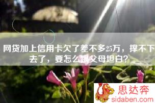 网贷加上信用卡欠了差不多25万，撑不下去了，要怎么跟父母坦白？