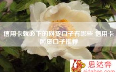 信用卡就必下的网贷口子有哪些 信用卡网贷口子推荐