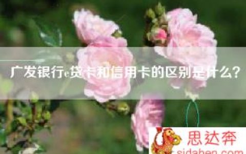 广发银行e贷卡和信用卡的区别是什么？