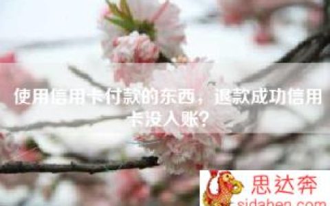 使用信用卡付款的东西，退款成功信用卡没入账？