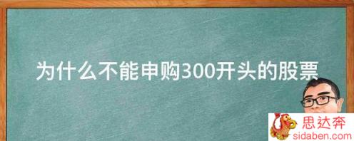 为什么不能申购300开头的股票