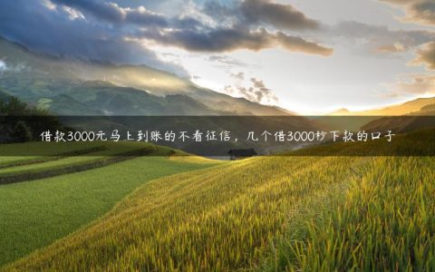 借款3000元马上到账的不看征信，几个借3000秒下款的口子