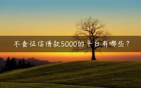 不查征信借款5000的平台有哪些？