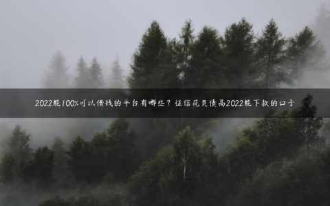 2022能100%可以借钱的平台有哪些？征信花负债高2022能下款的口子