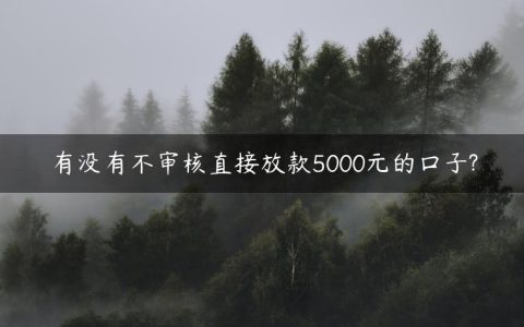 有没有不审核直接放款5000元的口子?