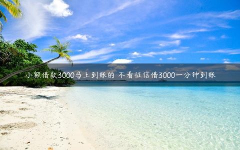 小额借款3000马上到账的 不看征信借3000一分钟到账