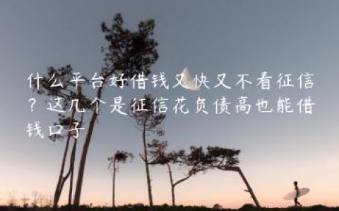 什么平台好借钱又快又不看征信？这几个是征信花负债高也能借钱口子