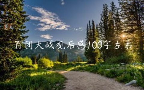 百团大战观后感100字左右