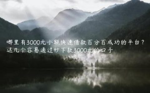 哪里有3000元小额快速借款百分百成功的平台？这几个容易通过秒下款3000元的口子