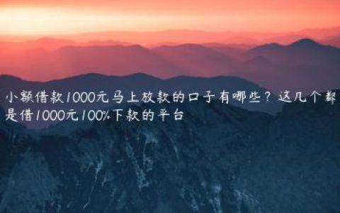 小额借款1000元马上放款的口子有哪些？这几个都是借1000元100%下款的平台