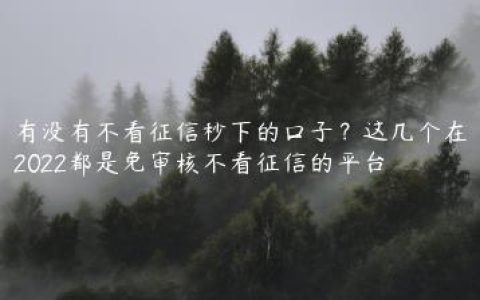 有没有不看征信秒下的口子？这几个在2022都是免审核不看征信的平台