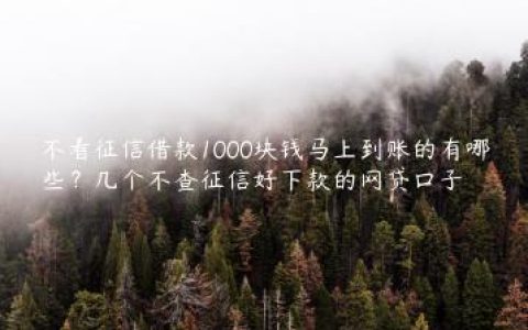 不看征信借款1000块钱马上到账的有哪些？几个不查征信好下款的网贷口子