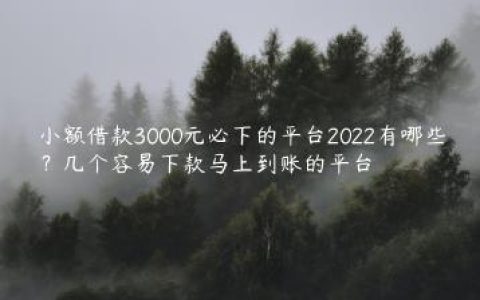 小额借款3000元必下的平台2022有哪些？几个容易下款马上到账的平台