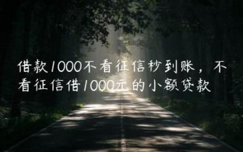 借款1000不看征信秒到账，不看征信借1000元的小额贷款