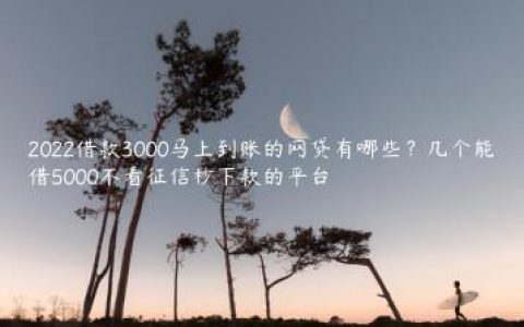 2022借款3000马上到账的网贷有哪些？几个能借5000不看征信秒下款的平台