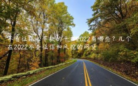 不看征信必下款的平台2022有哪些？几个在2022不查征信和风控的网贷