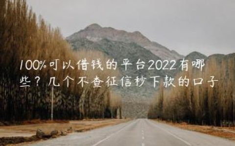 100%可以借钱的平台2022有哪些？几个不查征信秒下款的口子