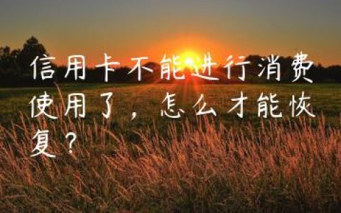 信用卡不能进行消费使用了，怎么才能恢复？