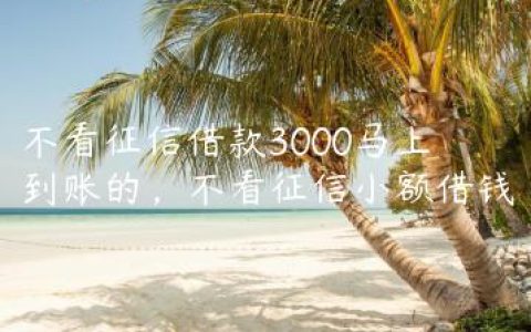 不看征信借款3000马上到账的，不看征信小额借钱