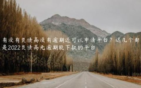 有没有负债高没有逾期还可以申请平台？这几个都是2022负债高无逾期能下款的平台