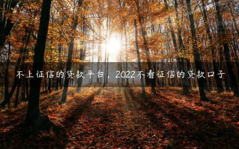 不上征信的贷款平台，2022不看征信的贷款口子