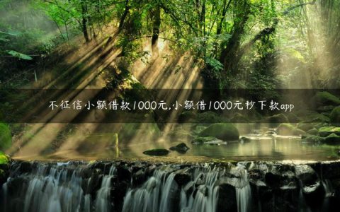 不征信小额借款1000元,小额借1000元秒下款app