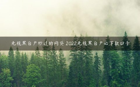 无视黑白户秒过的网贷 2022无视黑白户必下款口子