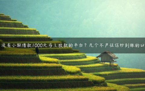 有没有小额借款1000元马上放款的平台？几个不产征信秒到账的口子