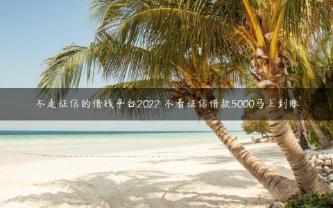 不走征信的借钱平台2022 不看征信借款5000马上到账