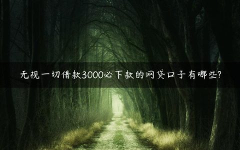 无视一切借款3000必下款的网贷口子有哪些?