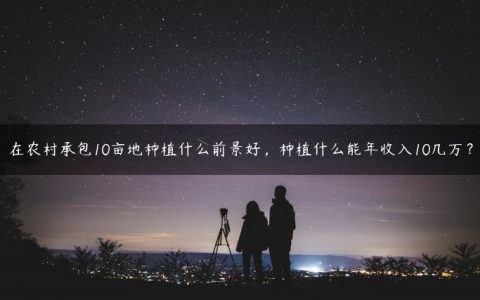 在农村承包10亩地种植什么前景好，种植什么能年收入10几万？