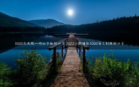 3000元无视一切必下款的口子 2022小额借款3000马上到账的口子