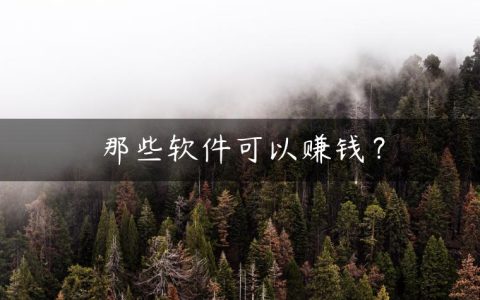 那些软件可以赚钱？