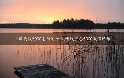 小额贷款5000急用的平台,借钱应急5000微信转账