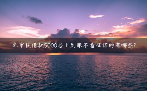 免审核借款5000马上到账不看征信的有哪些?