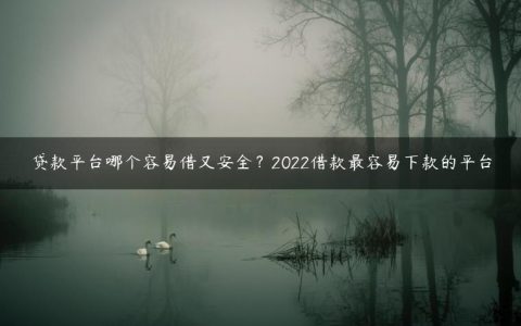 贷款平台哪个容易借又安全？2022借款最容易下款的平台