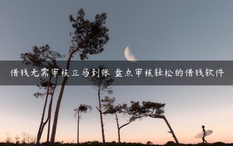 借钱无需审核立马到账 盘点审核轻松的借钱软件