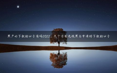 黑户必下款的口子有吗2022，几个目前无视黑白申请好下款的口子