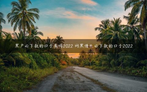 黑户必下款的口子有吗2022 网黑借也必下款的口子2022