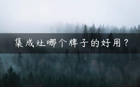 集成灶哪个牌子的好用？