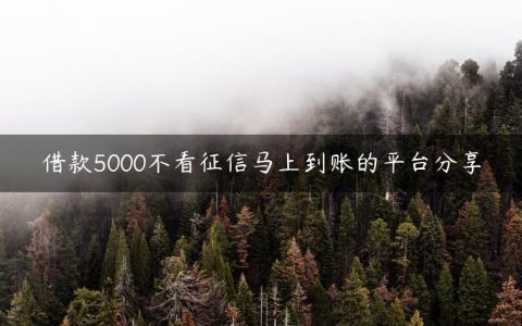 借款5000不看征信马上到账的平台分享