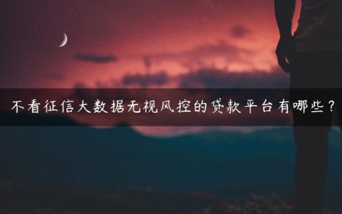 不看征信大数据无视风控的贷款平台有哪些？