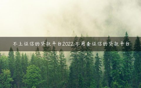 不上征信的贷款平台2022,不用查征信的贷款平台